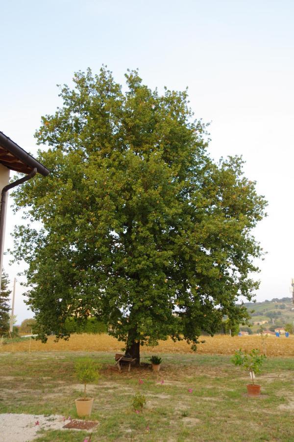 Bed and Breakfast Beb Montefratta Fratta Terme Exterior foto
