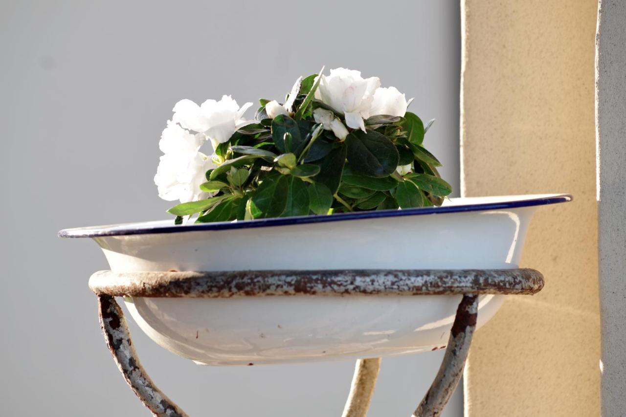Bed and Breakfast Beb Montefratta Fratta Terme Exterior foto