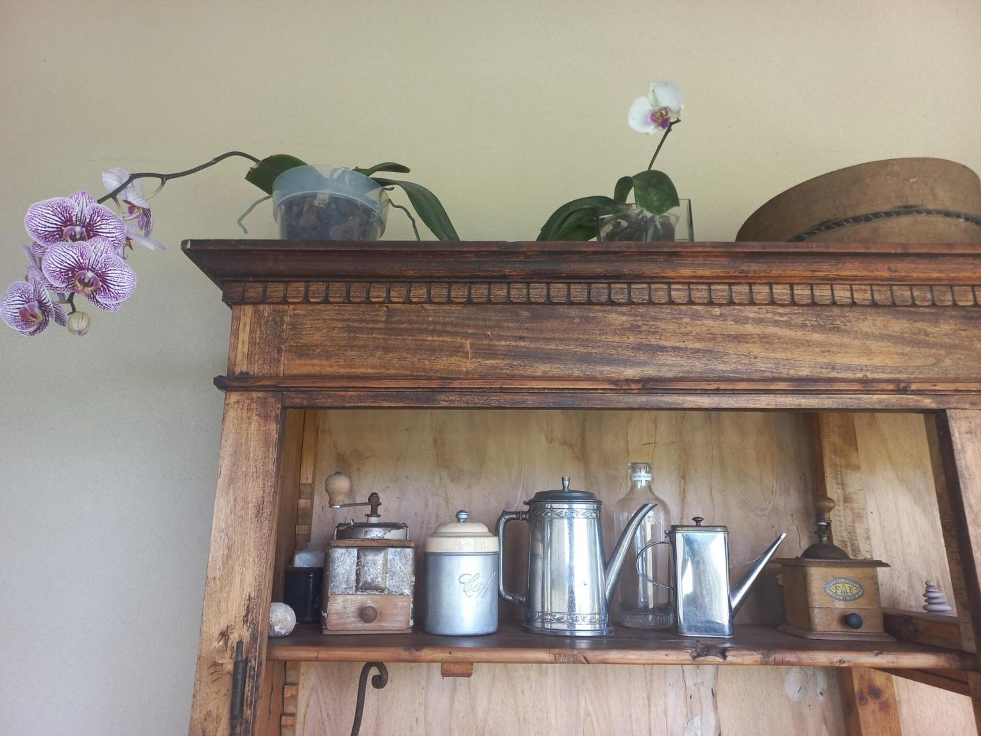 Bed and Breakfast Beb Montefratta Fratta Terme Exterior foto