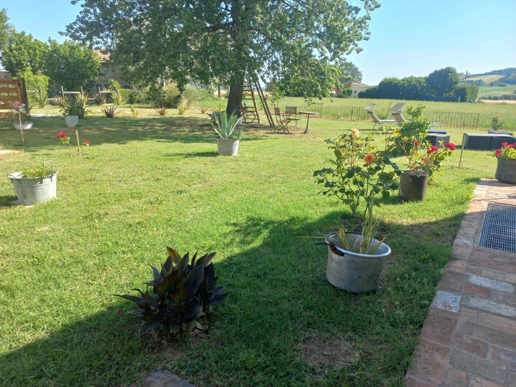 Bed and Breakfast Beb Montefratta Fratta Terme Exterior foto