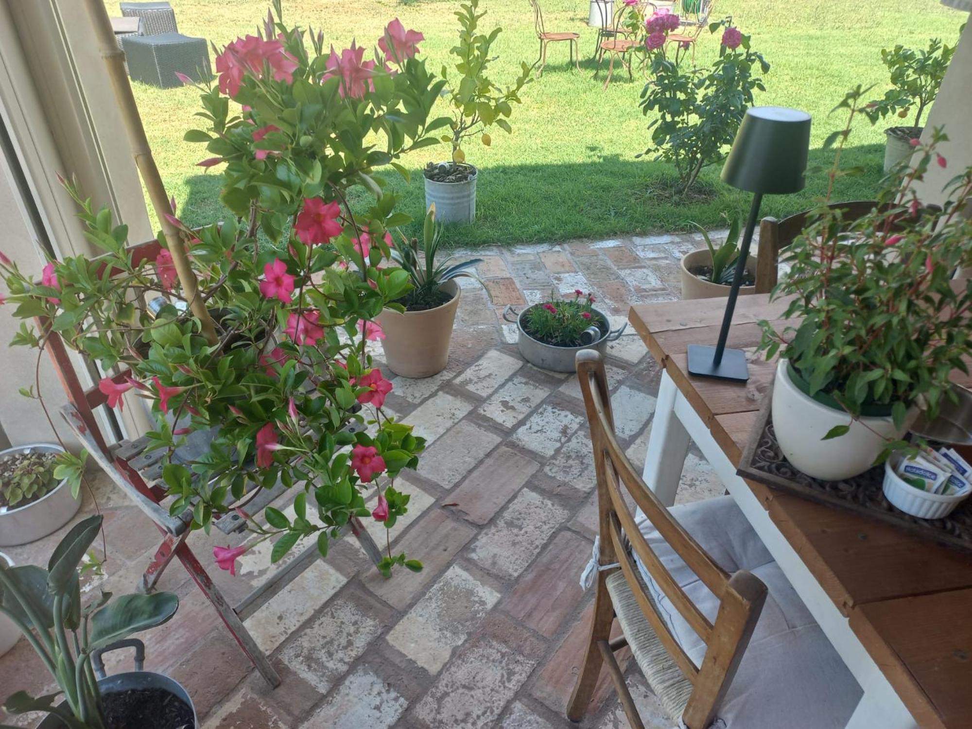 Bed and Breakfast Beb Montefratta Fratta Terme Exterior foto